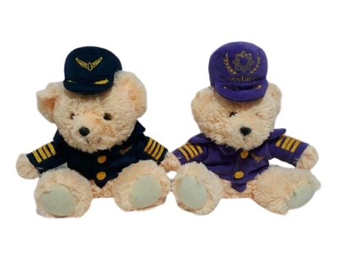 Captain Teddy
