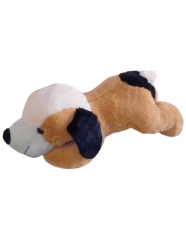 Sleeping Dog