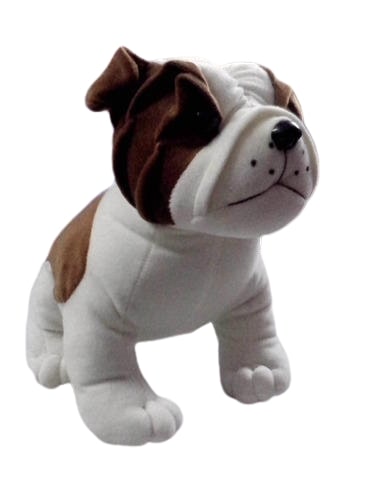 Hutch Dog