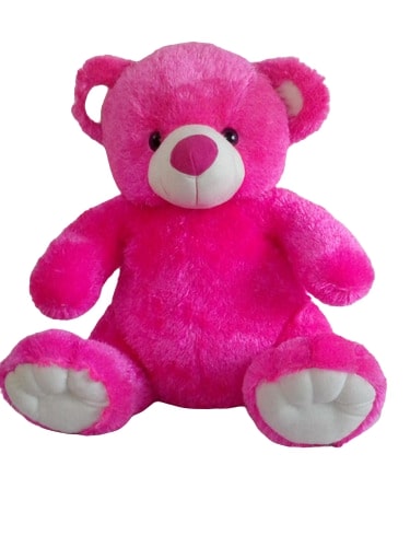 Teddy Bear