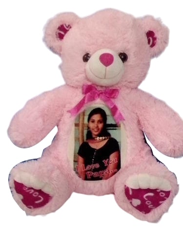 Photo Teddy Bear