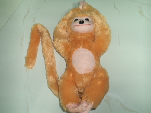 Smiley Monkey
