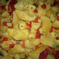 Duck Puppet