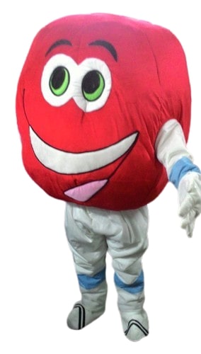 Customize Mascot Costume